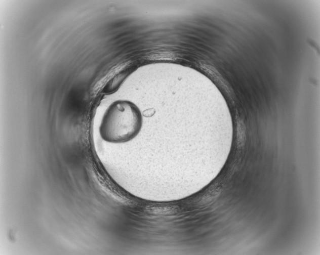 X0000100220533200806271729