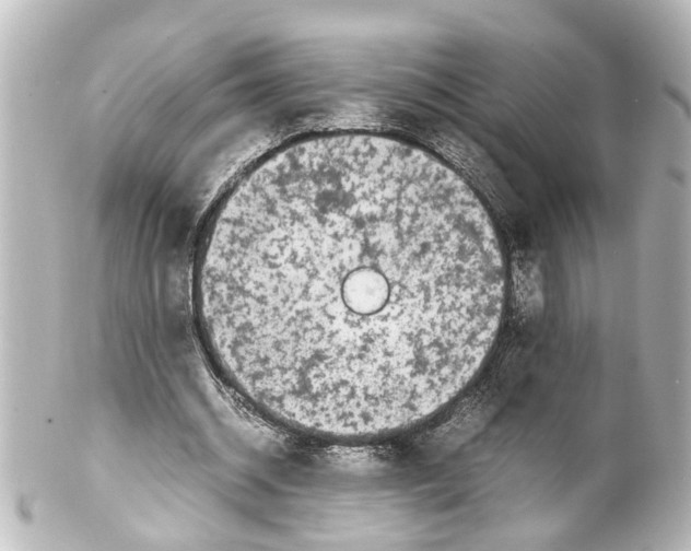 X0000100220534200806271729