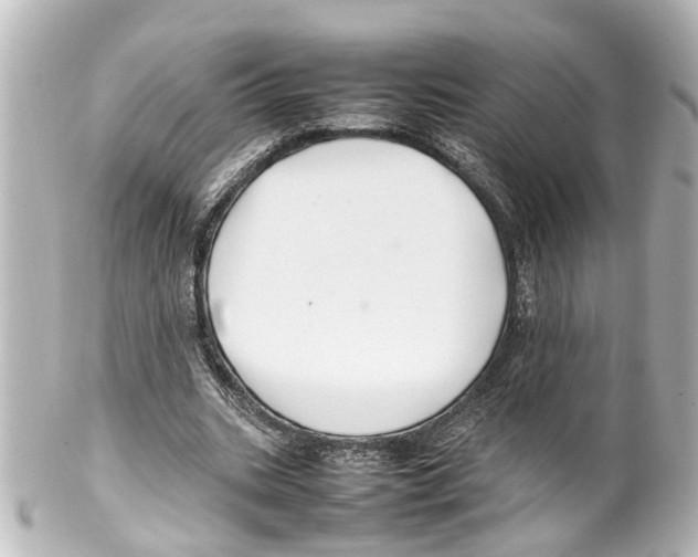 X0000100220535200806271729