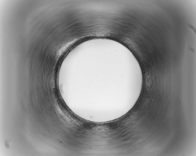 X0000100220536200806271729