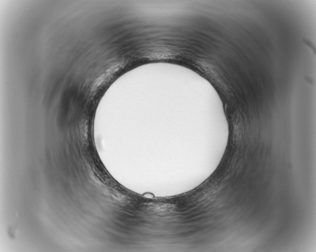 X0000100220539200806271729