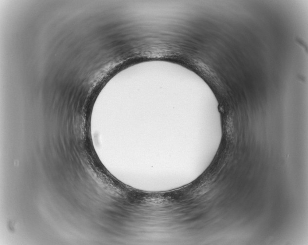 X0000100220540200806271729