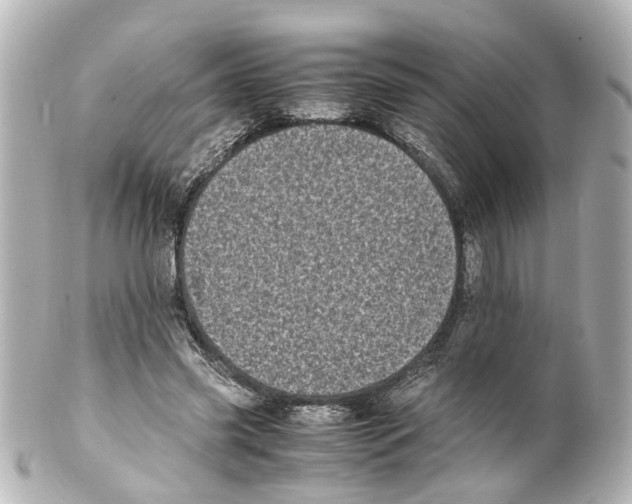 X0000100220541200806271729