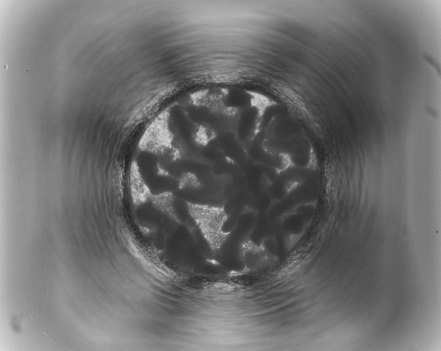 X0000100220542200806271729