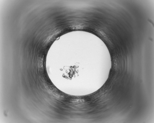 X0000100220543200806271729