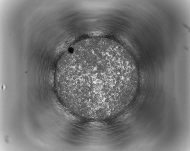 X0000100220545200806271729