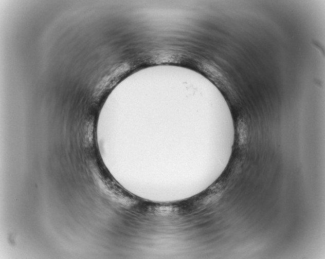 X0000100220546200806271729