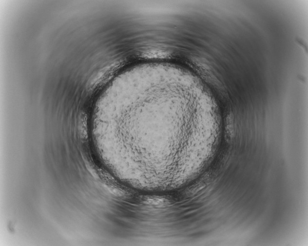 X0000100220547200806271729