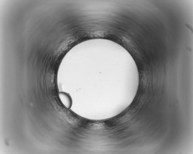 X0000100220548200806271729