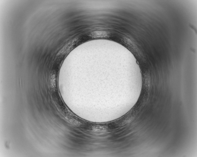 X0000100220549200806271729