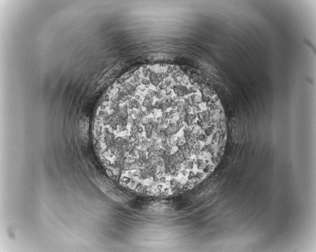 X0000100220550200806271729