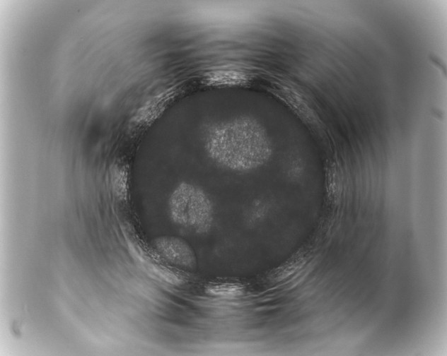 X0000100220551200806271729