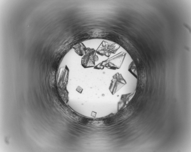 X0000100220554200806271729