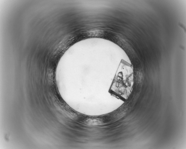 X0000100220557200806271729