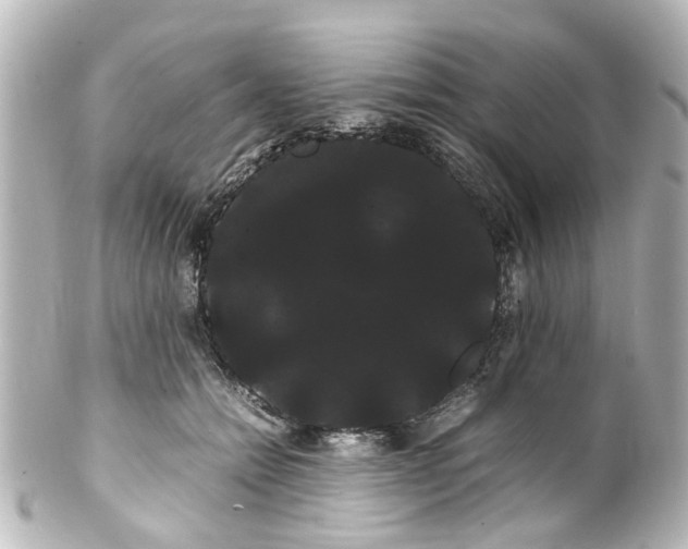 X0000100220558200806271729