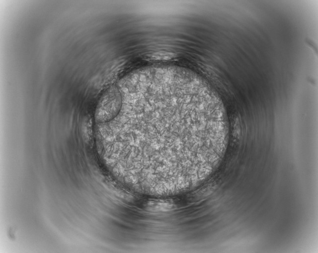 X0000100220559200806271729