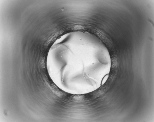 X0000100220560200806271729