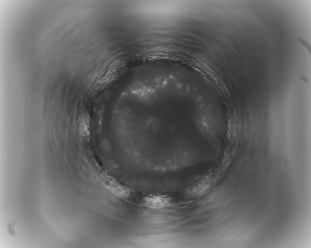 X0000100220561200806271729