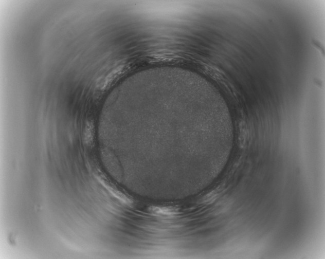 X0000100220563200806271729