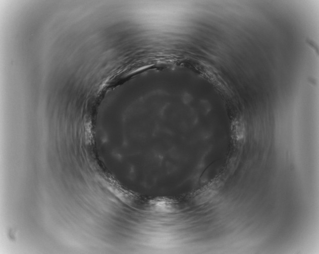 X0000100220564200806271729