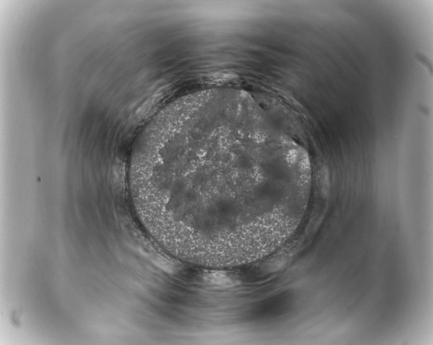 X0000100220565200806271729