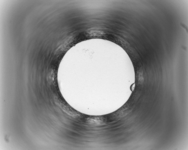 X0000100220567200806271730