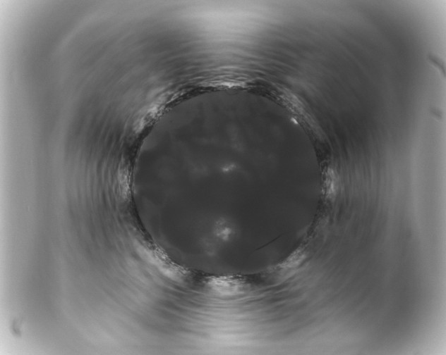 X0000100220568200806271730