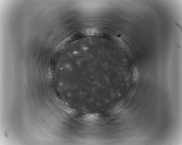 X0000100220569200806271730