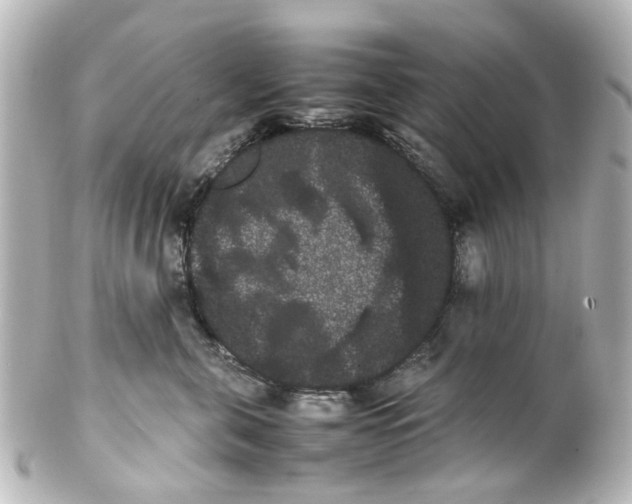 X0000100220571200806271730