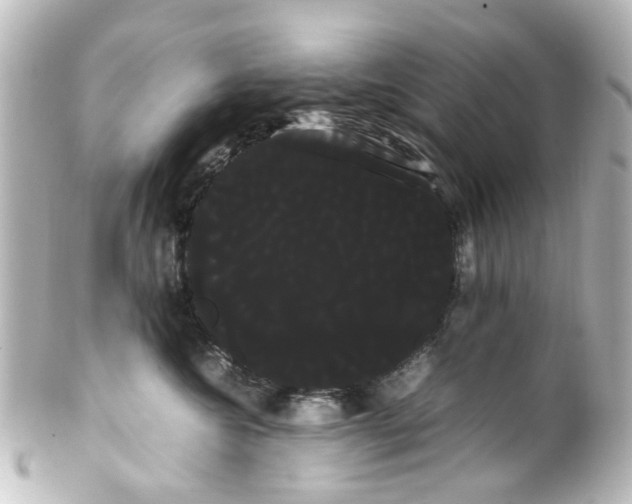 X0000100220572200806271730