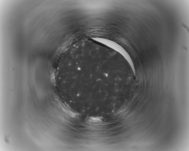 X0000100220573200806271730