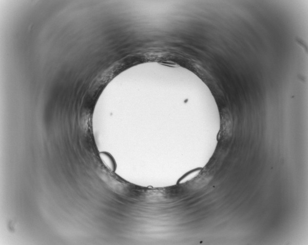 X0000100220574200806271730