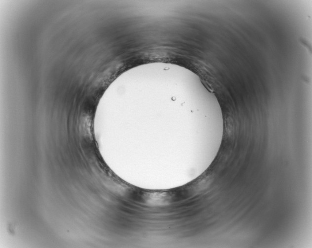 X0000100220575200806271730