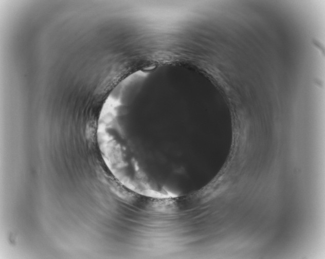 X0000100220576200806271730