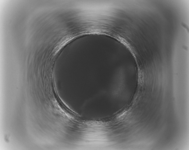 X0000100220577200806271729