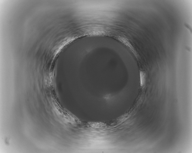 X0000100220579200806271729