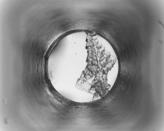 X0000100220580200806271729