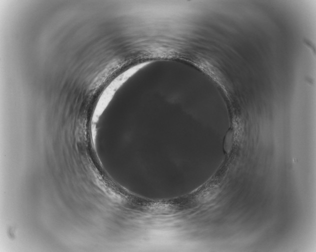 X0000100220581200806271729