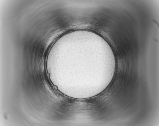 X0000100220582200806271729