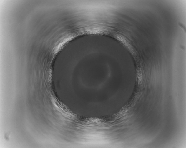 X0000100220583200806271729