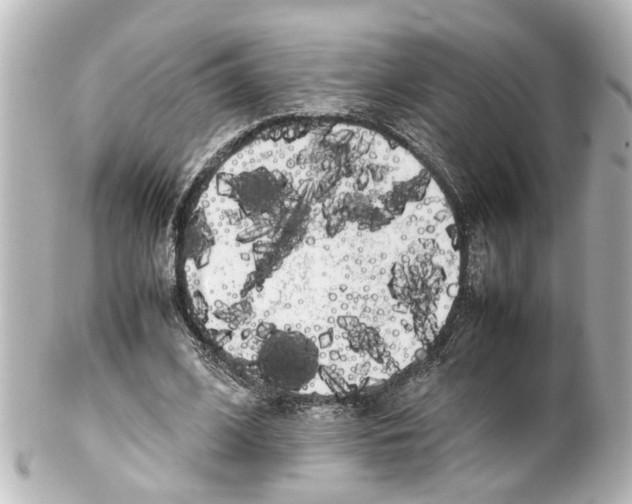 X0000100220584200806271729