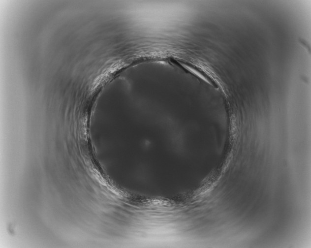 X0000100220585200806271729