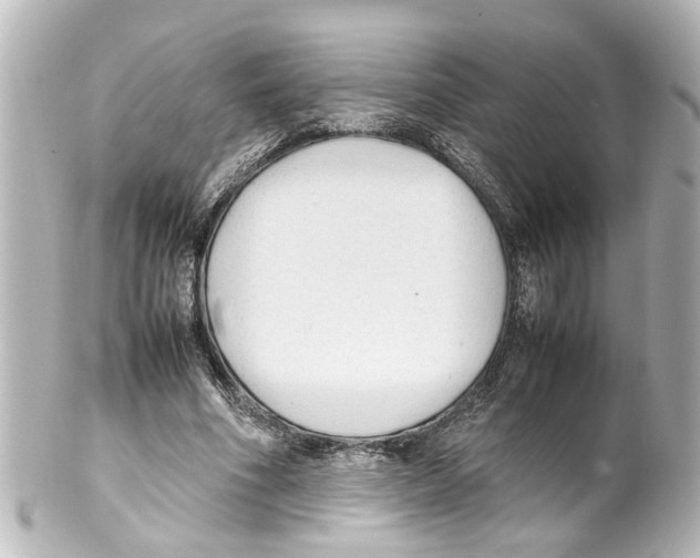 X0000100220586200806271729