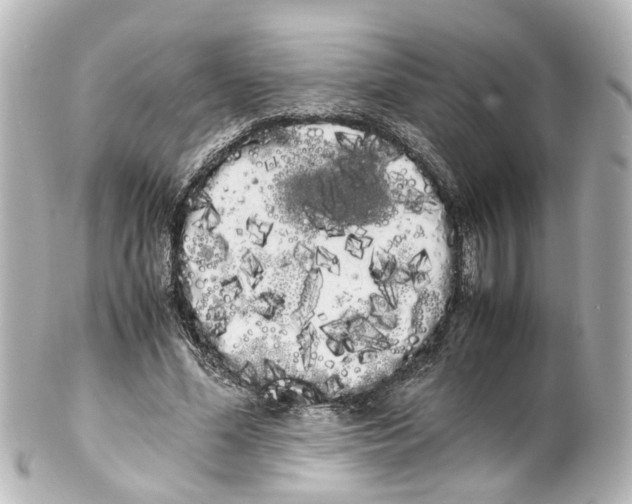 X0000100220588200806271729