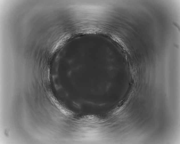 X0000100220589200806271729