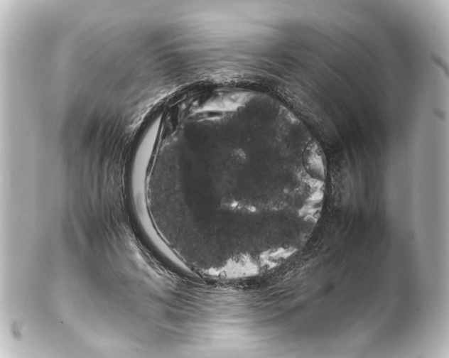 X0000100220592200806271729