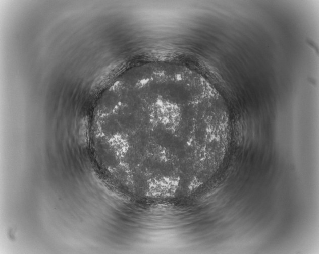 X0000100220594200806271729