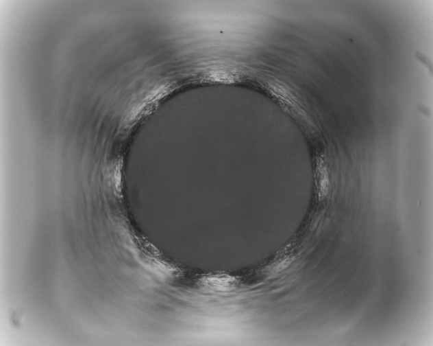 X0000100220595200806271729