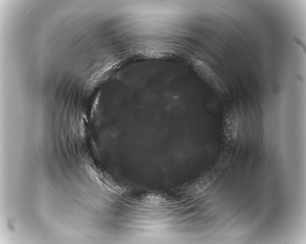 X0000100220596200806271729