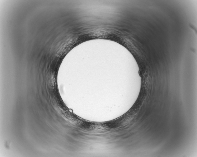 X0000100220597200806271729